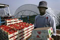 Por qué España va a contracorriente del mundo y tiene una política migratoria abierta